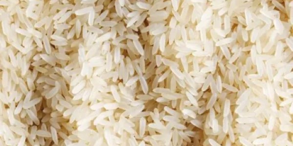 تصویر 5 از قیمت خرید برنج فوق اعلای جنوب + فروش ویژه